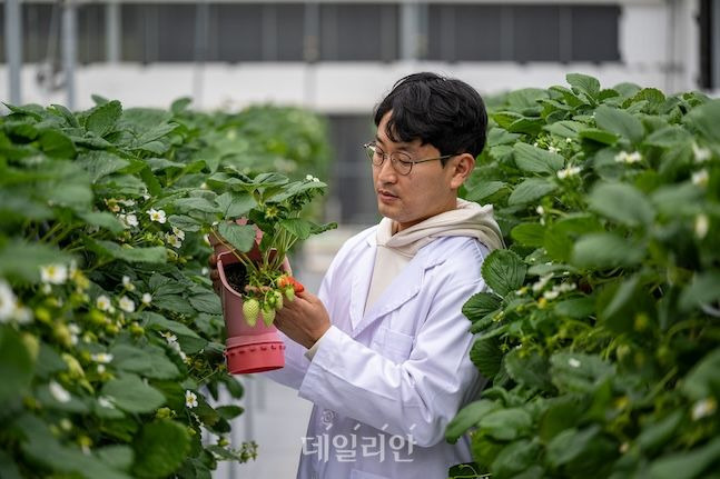 원도연 연구사가 수직재배를 위해 설계된 화분을 살펴보고 있다. ⓒ데일리안 배군득 기자