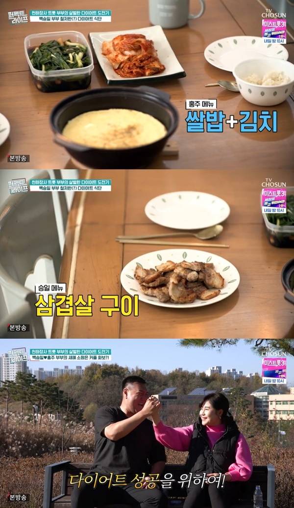 TV조선 ‘퍼펙트라이프’ 캡처