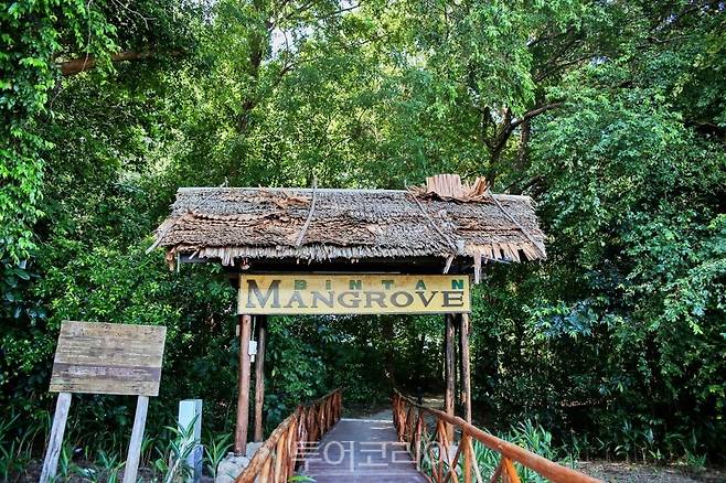 빈탄 맹그로브 투어