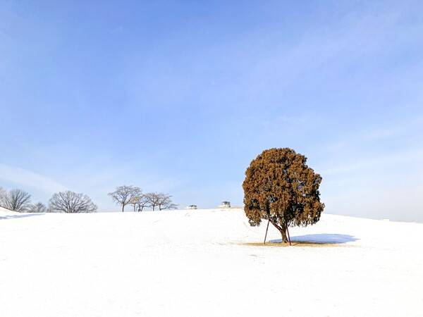 온라인 커뮤니티