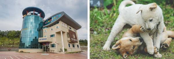 온라인 커뮤니티