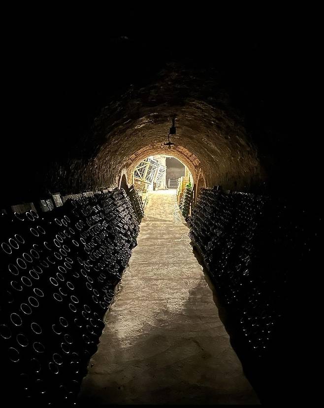 샤르토뉴 따이에 셀러. 인스타그램