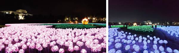 온라인 커뮤니티