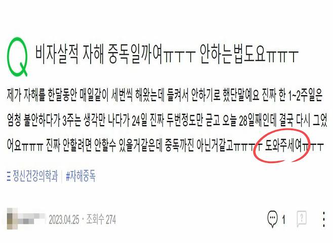 포털사이트에서 자해 때문에 고생한다는 청소년. 도움을 청하고 있다. [네이버 지식인 캡처]