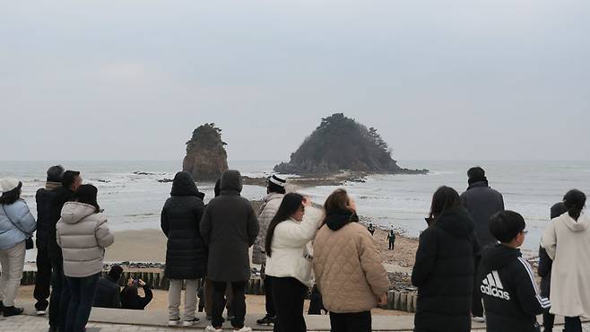 [사진 제공:연합뉴스]