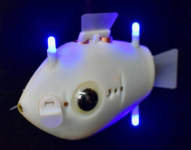 떼 지어 다니는 로봇 물고기 블루봇. 동료가 내는 LED 빛을 보고 거리를 감지하면서 집단 행동을 한다./미 하버드대