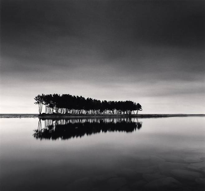 작가의 대표작이자 한국 관객에게 가장 잘 알려진 '솔섬'. Pine Trees, Study 3, Wolcheon, Gangwondo, South Korea, 2011) [사진제공 = 공근혜갤러리]