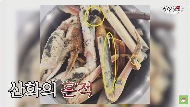 ['입질의 추억' 유튜브채널 갈무리]