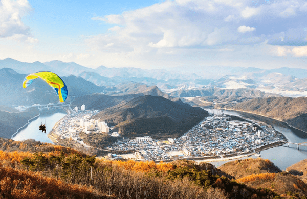 온라인 커뮤니티