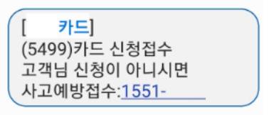 카드 신청 스미싱 문자. 문자 번호로 전화하게끔 해 피해를 유발한다. 〈사진=금융감독원〉