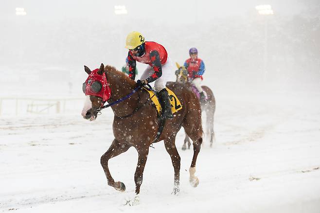 2023년 마지막주 설중 경마. 사진 | 한국마사회