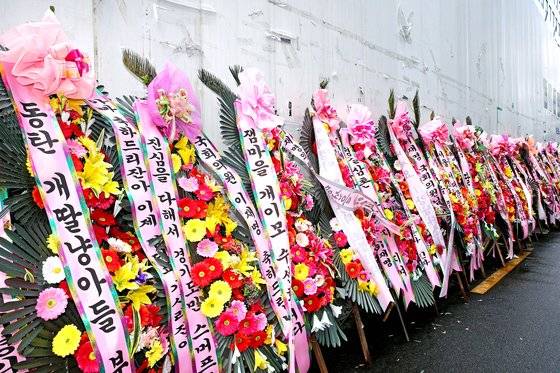 윤석열 대통령 취임 직후 서울 여의도 더불어민주당 중앙당사에 이재명 당 대표의 맹목적 지지자들인 이른바 '개딸'이 보내온 화환이 놓여있다. 뉴스1