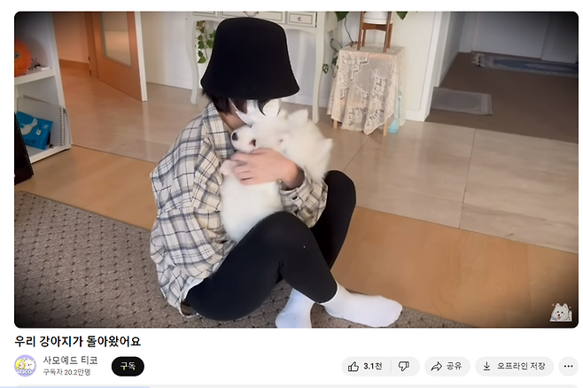 유튜브 채널 ‘사모예드 티코’ 갈무리.