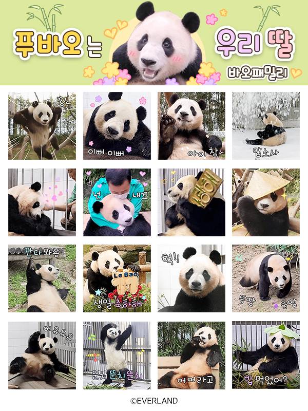 에버랜드 ‘푸바오는 우리 딸’ 카카오 이모티콘