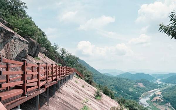 온라인 커뮤니티