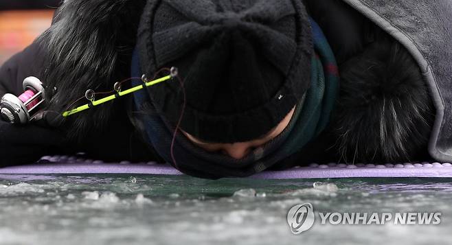 산천어야 어디 있니 [연합뉴스 자료사진]