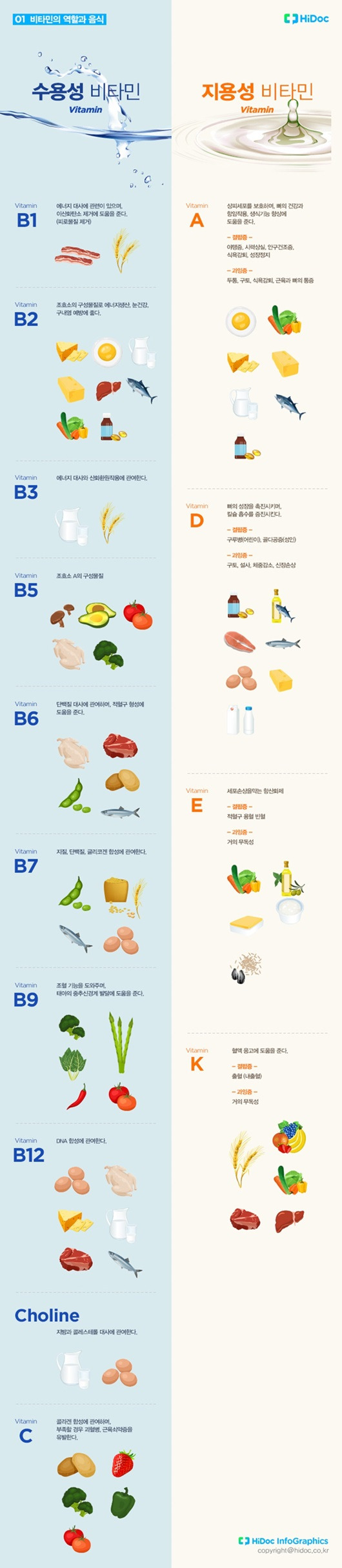 비타민의 역할과 음식ㅣ출처: 하이닥