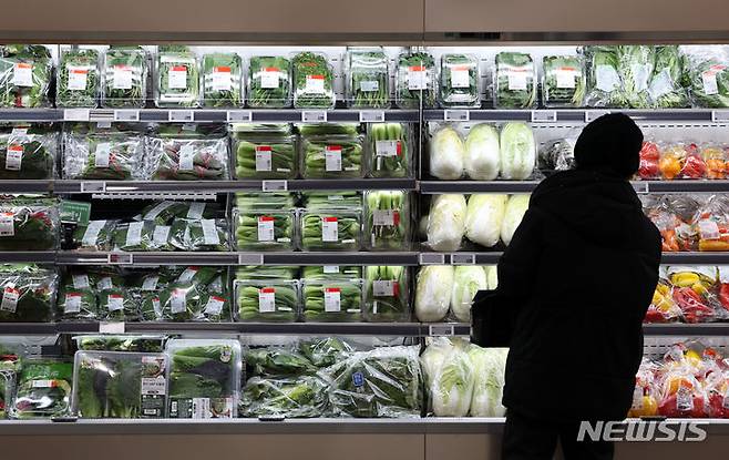 [서울=뉴시스] 고승민 기자 = 서울의 한 대형마트에 진열된 채소류. 2023.12.06. kkssmm99@newsis.com