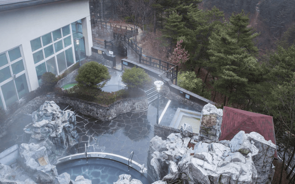 온라인 커뮤니티