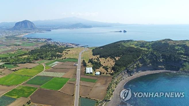 제주 송악산(오른쪽) 일대 [연합뉴스 자료 사진]