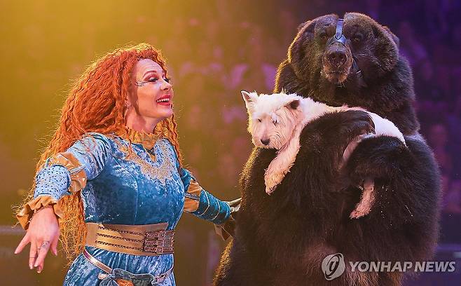 러시아 서커스 공연 [타스 연합뉴스 자료사진. 재판매 및 DB 금지]