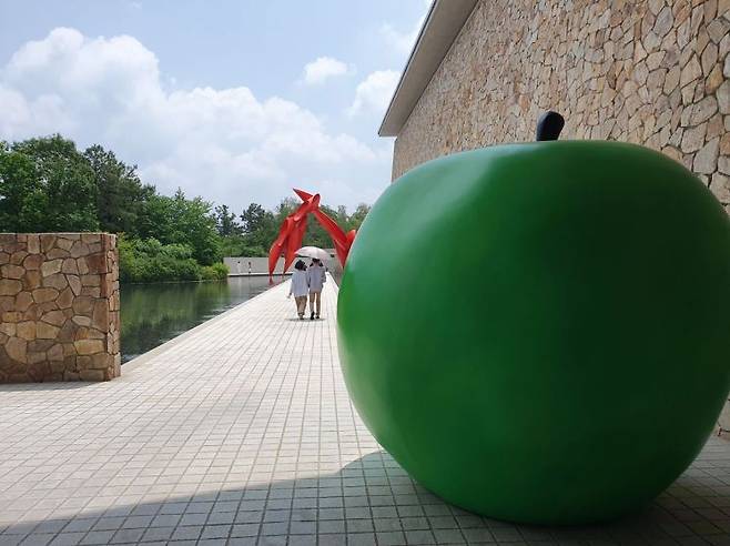 지난해 원주 뮤지엄산에서 열렸던 안도 다다오 -청춘전 전시장 입구의 사과.  [사진= 조성관 작가]
