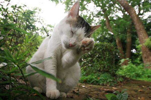 온라인 커뮤니티