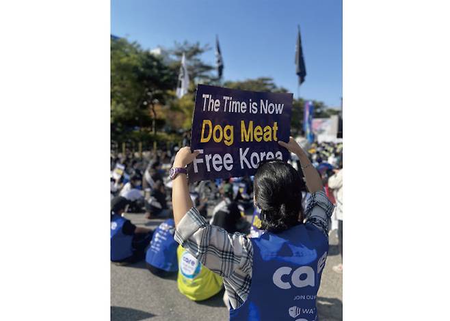 2023년 10월 29일 열린 개식용금지법 제정 촉구 집회에서 참가자가 피켓을 들고 있다. [김소현]