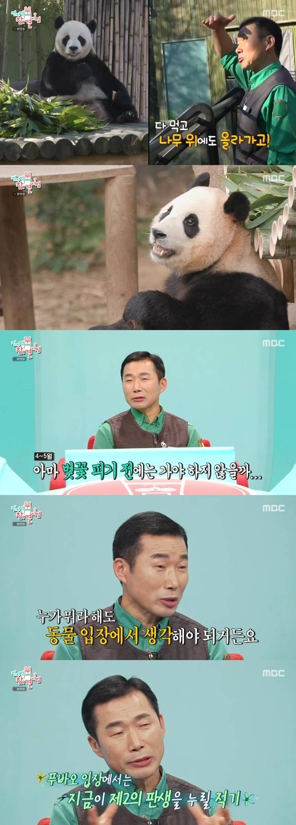 사진 l MBC 방송화면 캡처