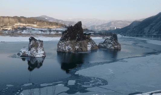 온라인 커뮤니티