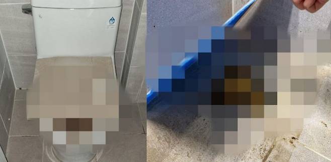 A씨를 무엇보다 당황하게 했던 건 화장실 하수구에 방치돼 있던 인분이었다. 누군가 볼일을 보고 파란색 단파라 박스의 일부로 가려놓았다. 그뿐만 아니라 변기에도 가득 변을 본 흔적이 있었다. [사진출처=온라인 커뮤니티 '보배드림']