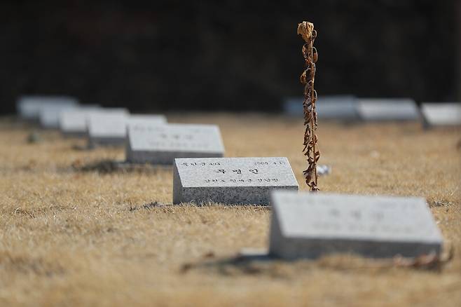 2019년 1월27일 낮 경기도 파주시 적성면에 있는 북한군 묘지에 국화꽃이 놓여 있다. 강창광 선임기자 chang@hani.co.kr