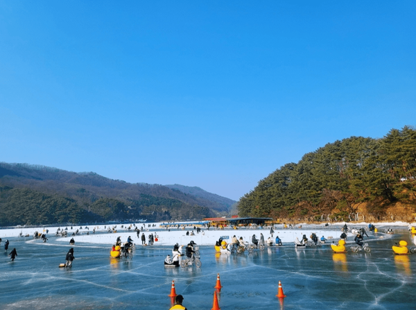 온라인 커뮤니티