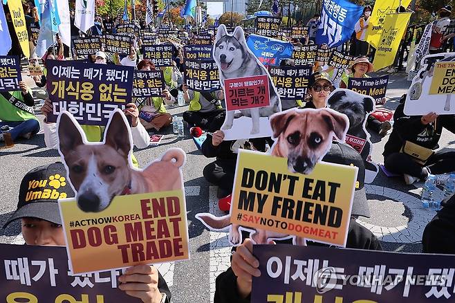 '개 식용 금지법 제정을 촉구한다!' (서울=연합뉴스) 이정훈 기자 = 29일 서울 여의도 국회 앞에서 열린 2023 개 식용 금지법 제정 촉구 국민대집회에서 참가자들이 구호를 외치고 있다. 2023.10.29 uwg806@yna.co.kr