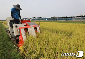 (사진은 기사 내용과 무관함) / 뉴스1 ⓒ News1