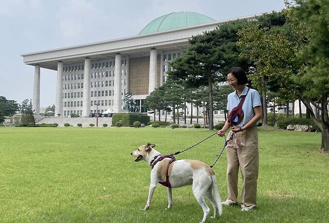 지난해 9월19일 개농장 구조견 ‘도담이’가 개 식용 종식을 촉구하는 행사에 참석해 국회 본관 앞에서 포즈를 취하고 있다. 김지숙 기자 suoop@hani.co.kr