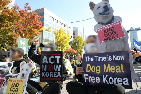 지난해 10월 29일 오후 서울 여의도 국회 앞에서 열린 개식용금지법 제정 촉구 집회에서 참석자들이 개식용 반대 피켓을 들고 구호를 외치고 있다. /사진=뉴스1