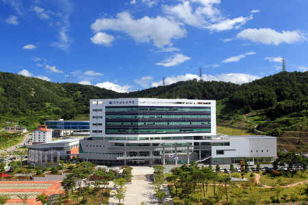 전남도교육청이 도내 직업계 고등학교에 해외 유학생 유치에 나선다./전남도교육청