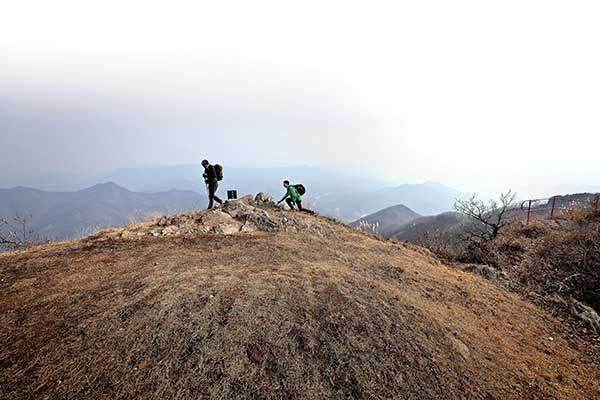 묘 한 기가 자리잡은 주행봉 정상은 널찍하다.