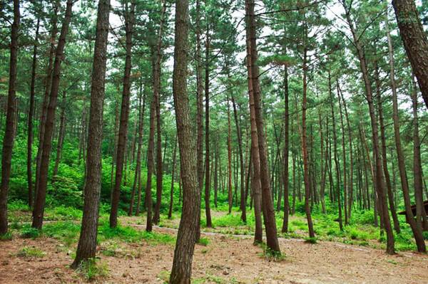 서천 가볼만한 곳 / 온라인 커뮤니티