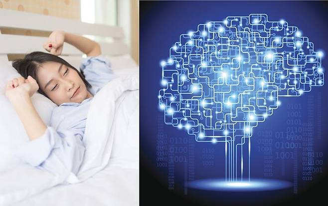 뇌는 사고와 처리를 최적화하는 상태인 '임계점'에 도달하기 위해 정기적으로 운영 체제를 재설정하는 것으로 나타났다. [사진= 게티이미지뱅크]
