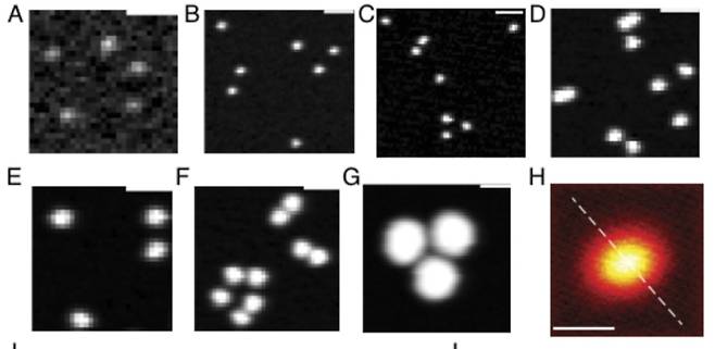 레이저에 감지된 폴리스타이렌 플라스틱 입자들. 각각 크기는 약 200nm, 즉 0.0002mm이다. (미 컬럼비아대 연구보고서 본문)