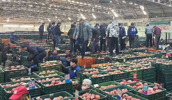 [안동=뉴시스] 안농농협 농산물공판장. (사진=안동농협 제공) 2024.01.10. photo@newsis.com  *재판매 및 DB 금지