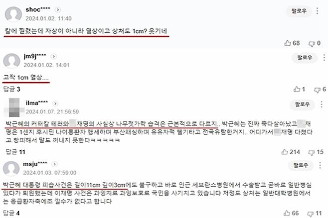 네이버 뉴스 댓글 캡처