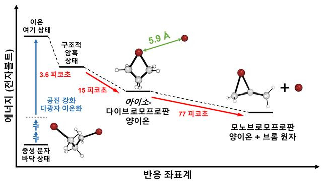 다이브로모프로판의 이온 동역학을 살피는 과정에서 ‘구조적 암흑 상태’가 관측됐다. IBS 제공.