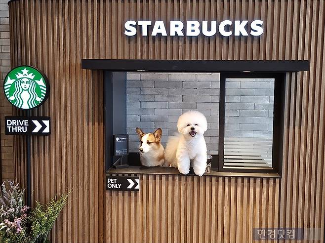 (우측부터) 포토존에서 포즈를 취하는 강아지 로이와 망고. /사진=김영리 한경닷컴 기자