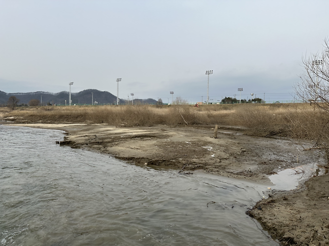 공주보 담수 이후 펄밭으로 변한 공주보 상류 백제큰다리 인근의 모습. 세종환경운동연합 제공.