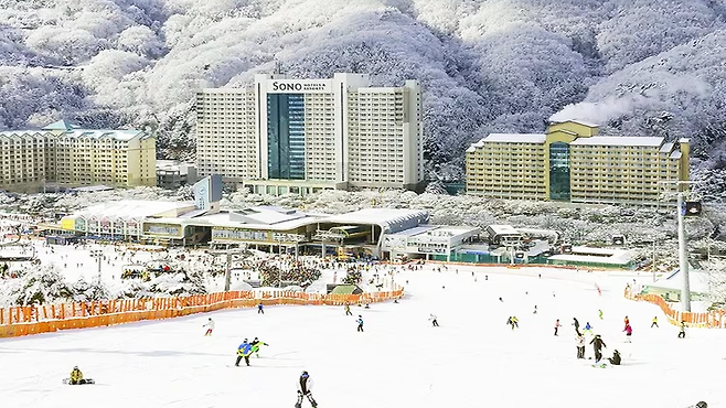 소노벨 비발디 파크