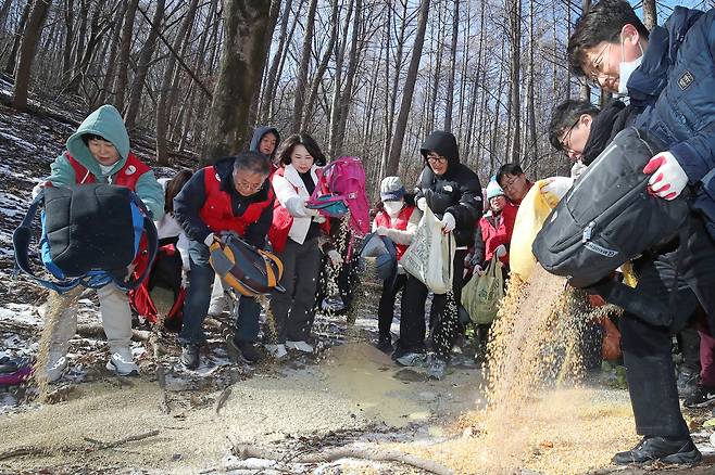 수수, 겉보리, 옥수수 등 곡식류를 골고루 뿌려주고 있다. 뉴스1