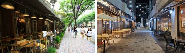 온라인 커뮤니티